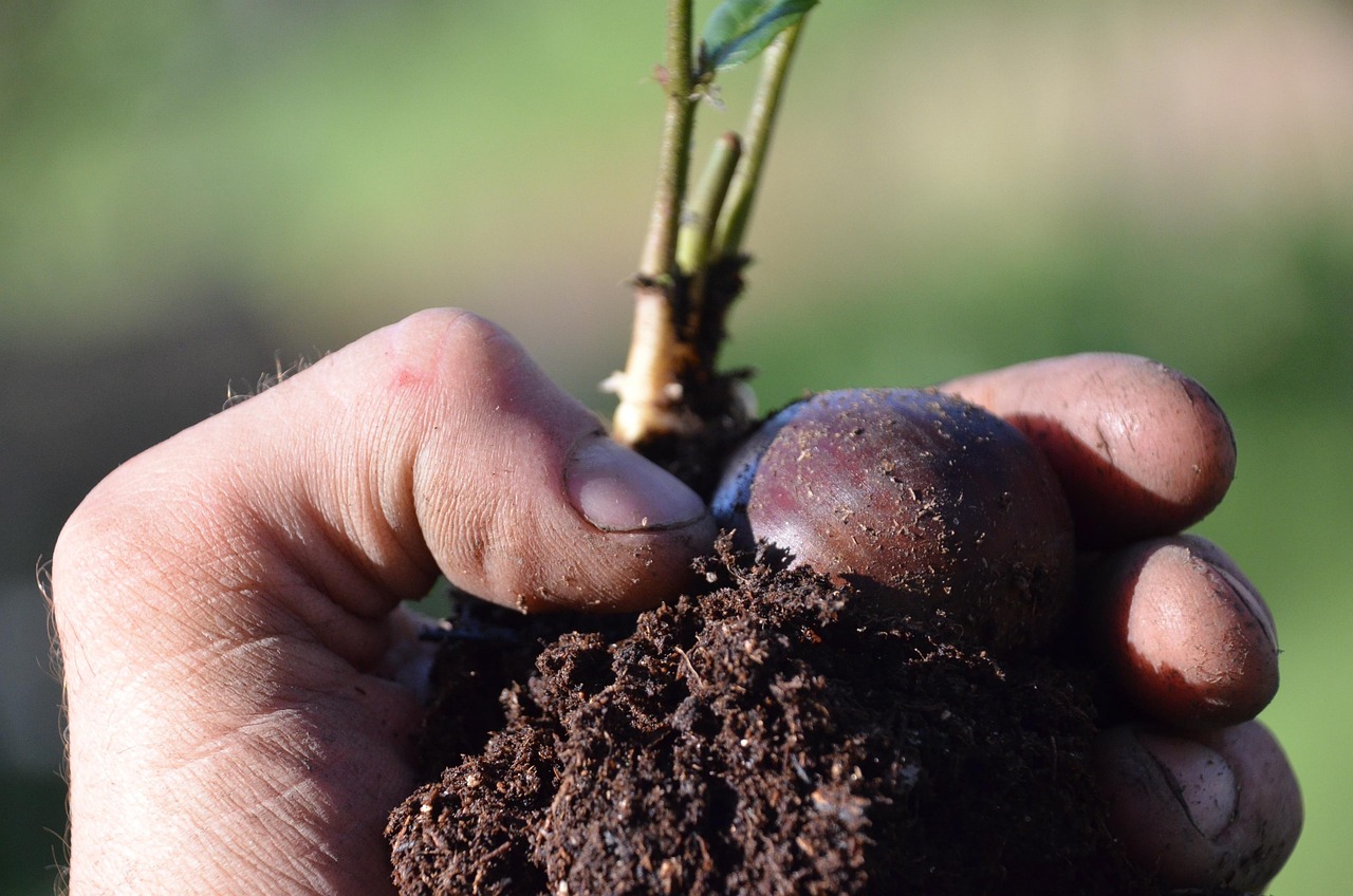 Permaculture for People and Places 
