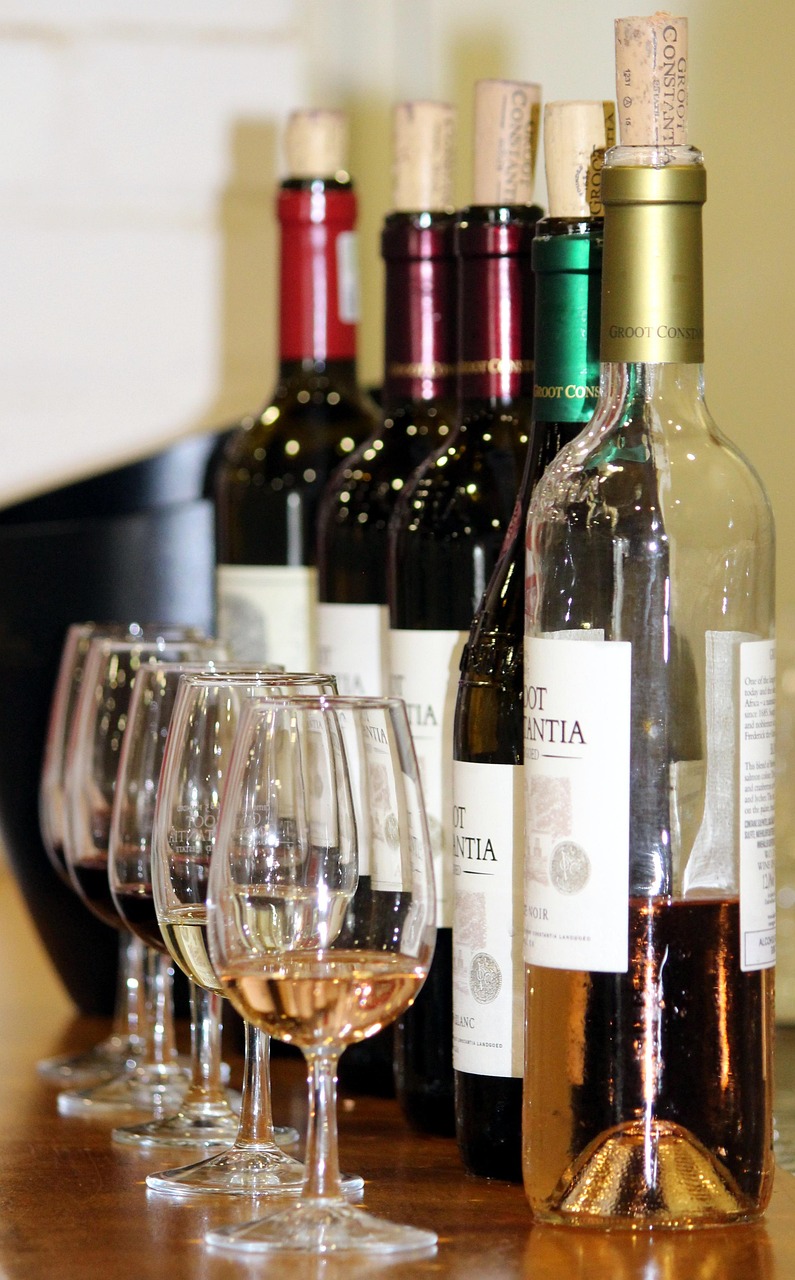 Wine 101 From Vine to Glass